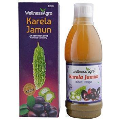 Wellness Agro Karela Jamun Juice 